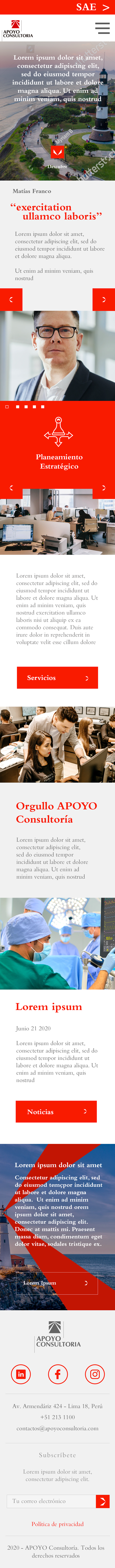 Apoyo Consultoría - Home